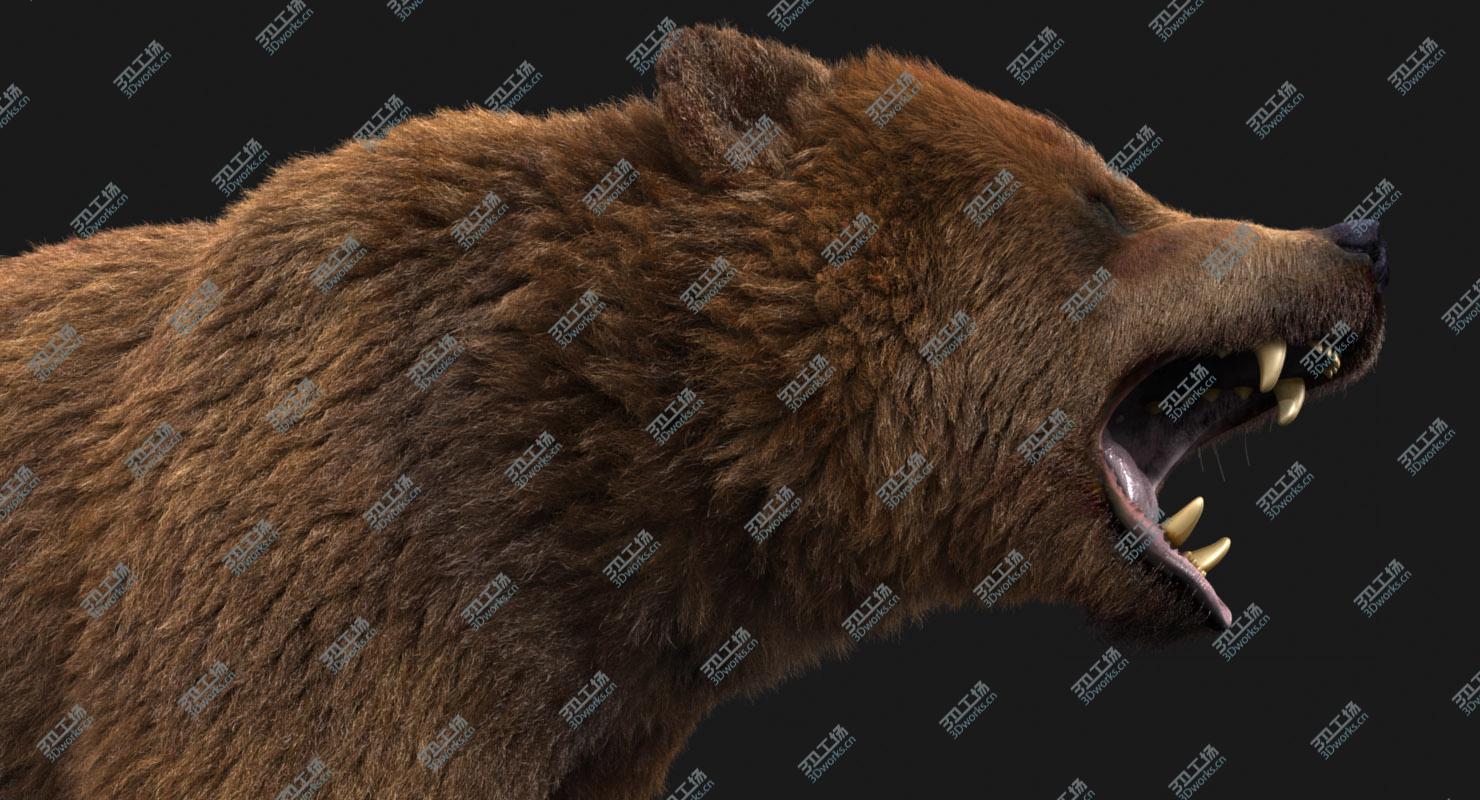 images/goods_img/20210114/3D model Bear (3) (FUR)/5.jpg